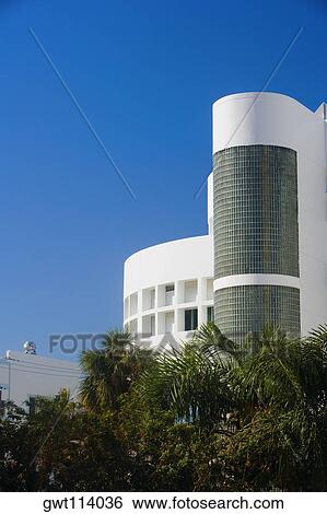Stock Photograph - Low angle view of palm trees in front of a building, Miami, Florida, USA. Fotosearch