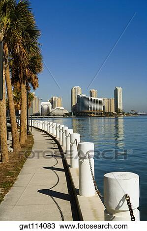 Sidewalk along the sea, Miami, Florida, USA View Large Photo Image Stock Image - Sidewalk along the sea, Miami, Florida, USA. Fotosearch