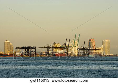 Cruise ship at a harbor, Miami, Florida, USA View Large Photo Image Stock Image - Cruise ship at a harbor, Miami, Florida, USA. Fotosearch