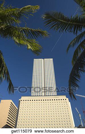 Low angle view of a building, Miami, Florida, USA View Large Photo Image Stock Photo - Low angle view of a building, Miami, Florida, USA. Fotosearch