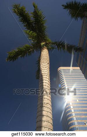 Low angle view of a skyscraper, Miami, Florida, USA View Large Photo Image Stock Image - Low angle view of a skyscraper, Miami, Florida, USA. Fotosearch