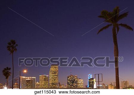 Low angle view of buildings in a city lit up at dusk, Miami, Florida, USA View Large Photo Image Stock Image - Low angle view of buildings in a city lit up at dusk, Miami, Florida, USA. Fotosearch
