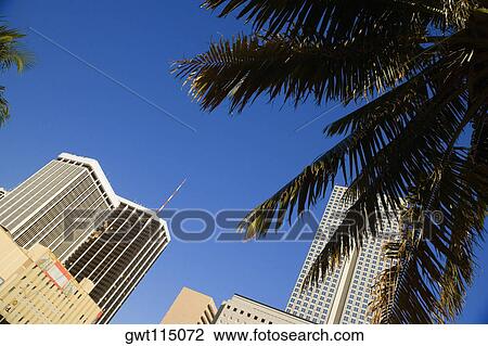Low angle view of buildings in a city, Miami, Florida, USA View Large Photo Image Stock Image - Low angle view of buildings in a city, Miami, Florida, USA. Fotosearch