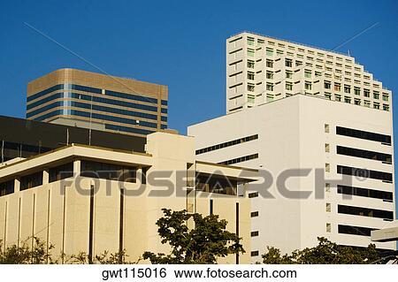 Low angle view of buildings in a city, Miami, Florida, USA View Large Photo Image Stock Photograph - Low angle view of buildings in a city, Miami, Florida, USA. Fotosearch