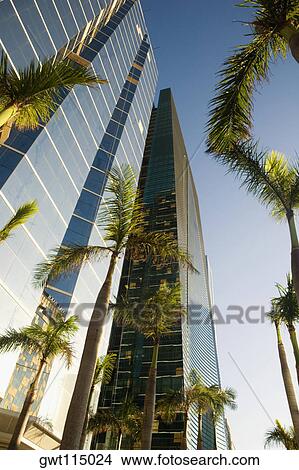 Low angle view of skyscrapers, Miami, Florida, USA View Large Photo Image Picture - Low angle view of skyscrapers, Miami, Florida, USA. Fotosearch