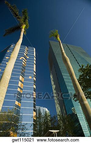 Low angle view of skyscrapers, Miami, Florida, USA View Large Photo Image Stock Image - Low angle view of skyscrapers, Miami, Florida, USA. Fotosearch