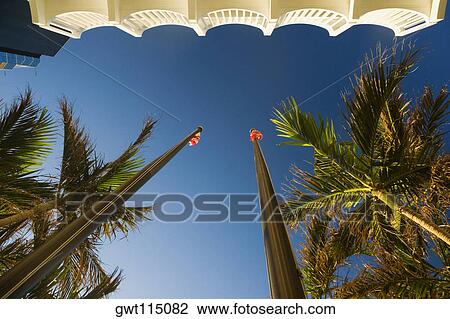 Low angle view of two flags in front of a building, Miami, Florida, USA View Large Photo Image Stock Image - Low angle view of two flags in front of a building, Miami, Florida, USA. Fotosearch