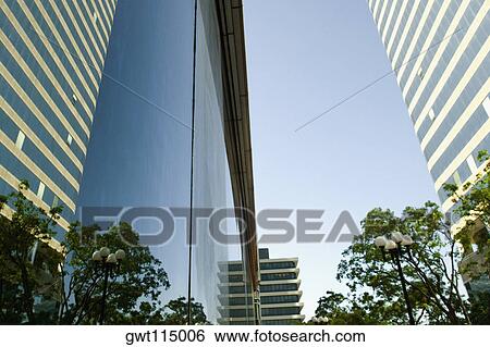 Reflection of a building on glass, Miami, Florida, USA View Large Photo Image Stock Photograph - Reflection of a building on glass, Miami, Florida, USA. Fotosearch