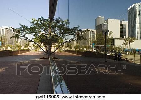 Reflection of buildings on glass, Miami, Florida, USA View Large Photo Image Stock Photography - Reflection of buildings on glass, Miami, Florida, USA. Fotosearch
