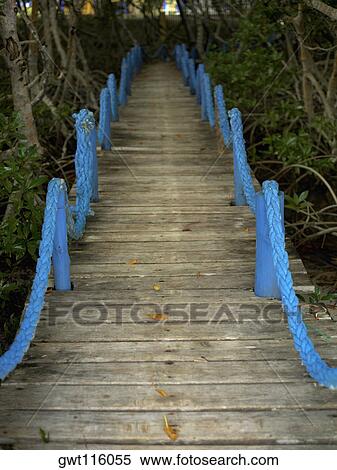 High angle view of a footbridge View Large Photo Image Stock Photography - High angle view of a footbridge. Fotosearch