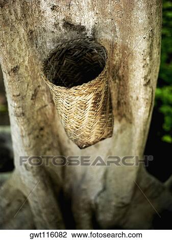High angle view of a wicker basket on a tree trunk View Large Photo Image Stock Image - High angle view of a wicker basket on a tree trunk. Fotosearch