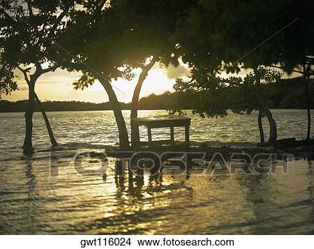 Silhouette of a table under trees View Large Photo Image Picture - Silhouette of a table under trees. Fotosearch