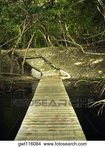 Wooden bridge leading to stairs View Large Photo Image Picture - Wooden bridge leading to stairs. Fotosearch