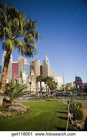 Skyscrapers in a city, Las Vegas, Nevada, USA View Large Photo Image Stock Image - Skyscrapers in a city, Las Vegas, Nevada, USA. Fotosearch