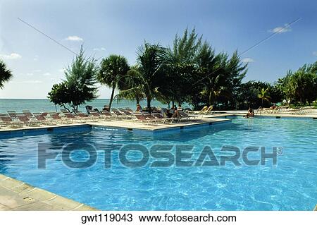 High angle view of a clear swimming pool at Lucayan Beach Resort, Freeport, Bahamas View Large Photo Image Stock Image - High angle view of a clear swimming pool at Lucayan Beach Resort, Freeport, Bahamas. Fotosearch