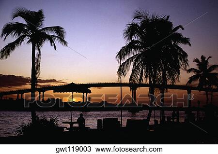 Stock Image - Palm trees and a bridge silhouetted against the sky, Bahamas. Fotosearch