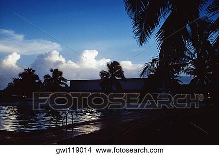 Palm trees silhouetted against the sky at sunset, Grand Bahamas, Bahamas View Large Photo Image Picture - Palm trees silhouetted against the sky at sunset, Grand Bahamas, Bahamas. Fotosearch