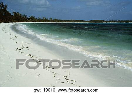 Scenic view of an isolated beach on a sunny day, Winding Bay, Eleuthera, Bahamas View Large Photo Image Stock Image - Scenic view of an isolated beach on a sunny day, Winding Bay, Eleuthera, Bahamas. Fotosearch