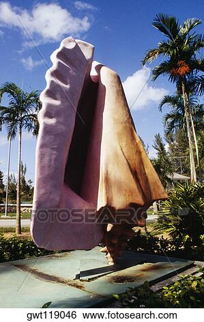 Side view of a huge conch sculpture, Nassau, Bahamas View Large Photo Image Stock Photograph - Side view of a huge conch sculpture, Nassau, Bahamas. Fotosearch