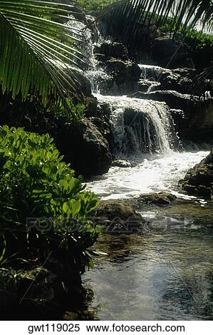 Stock Photography - Side view of a rivulet at Coral World, Nassau, Bahamas. Fotosearch