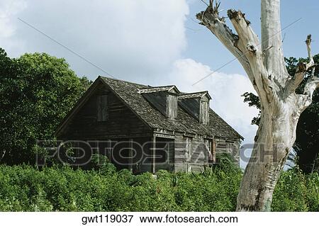 Side view of an abandoned house amidst greenery, Southern Eleuthera, Bahamas View Large Photo Image Stock Photo - Side view of an abandoned house amidst greenery, Southern Eleuthera, Bahamas. Fotosearch