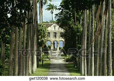 A boy's private school is seen on a palm lined avenue on the island of Barbados, Caribbean View Large Photo Image Stock Photo - A boy's private school is seen on a palm lined avenue on the island of Barbados, Caribbean. Fotosearch