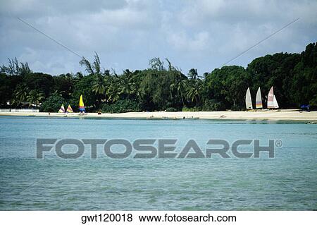Colorful sailboats parked on a seashore with a dense vegetation and shacks, Sandy Lane Hotel, Barbados View Large Photo Image Stock Photo - Colorful sailboats parked on a seashore with a dense vegetation and shacks, Sandy Lane Hotel, Barbados. Fotosearch