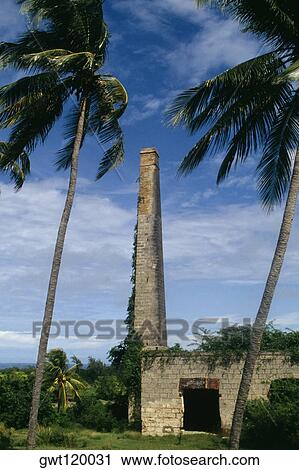 Low angle view of a tall smoke stack and a satellite dish, Barbados, Caribbean View Large Photo Image Stock Image - Low angle view of a tall smoke stack and a satellite dish, Barbados, Caribbean. Fotosearch