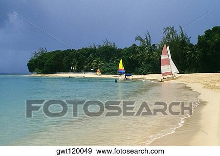 Sail boats are seen at a seashore near Sandy Lane Hotel Beach, Barbados, Caribbean View Large Photo Image Stock Photo - Sail boats are seen at a seashore near Sandy Lane Hotel Beach, Barbados, Caribbean. Fotosearch