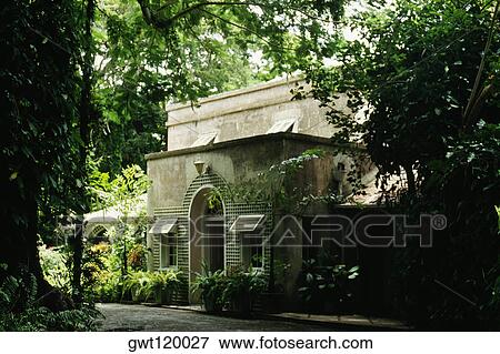 Side view of a house surrounded by dense tropical vegetation, Barbados View Large Photo Image Stock Photo - Side view of a house surrounded by dense tropical vegetation, Barbados. Fotosearch