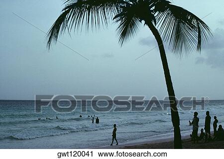 Spectacular seascape after sunset, Caribbean View Large Photo Image Stock Image - Spectacular seascape after sunset, Caribbean. Fotosearch