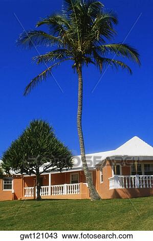 Front view of a man walking on a pavement, Grotto bay beach hotel, Bermuda View Large Photo Image Stock Image - Front view of a man walking on a pavement, Grotto bay beach hotel, Bermuda. Fotosearch