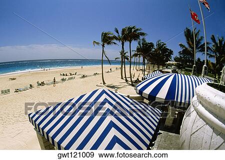 High angle view of striped canopies on Elbow beach, Bermuda View Large Photo Image Stock Photo - High angle view of striped canopies on Elbow beach, Bermuda. Fotosearch