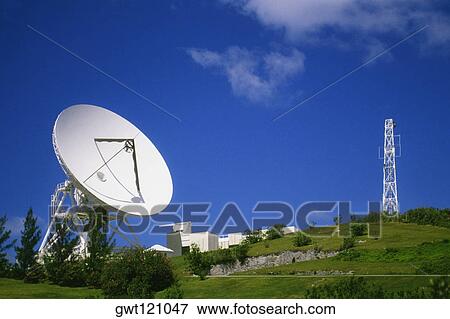 Stock Photo - Side view of satellite dish amidst grass and shrubs, Devonshire, Bermuda. Fotosearch