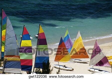 A cluster of colored sails stationed on a seashore, Nassau, Bahamas View Large Photo Image Stock Photograph - A cluster of colored sails stationed on a seashore, Nassau, Bahamas. Fotosearch