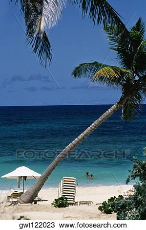 A couple swimming near a seashore, Carib, Saba, Virgin Islands View Large Photo Image Stock Image - A couple swimming near a seashore, Carib, Saba, Virgin Islands. Fotosearch