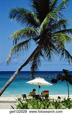 Couple sitting under a canopy on a beach, Virgin Islands View Large Photo Image Stock Photo - Couple sitting under a canopy on a beach, Virgin Islands. Fotosearch
