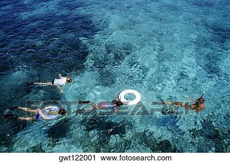 Four people scuba diving, St. Croix, Virgin Islands View Large Photo Image Stock Image - Four people scuba diving, St. Croix, Virgin Islands. Fotosearch