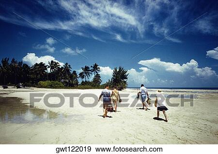 Stock Photo - Rear view of tourists walking on a beach, Grand Bahamas. Fotosearch