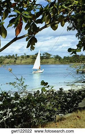 Side view of a sailboat, St. John, Virgin Isles View Large Photo Image Stock Image - Side view of a sailboat, St. John, Virgin Isles. Fotosearch