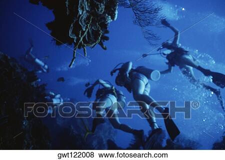Stock Photo - Underwater view of scuba divers. Fotosearch