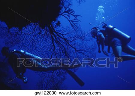 Stock Image - Underwater view of two scuba divers. Fotosearch