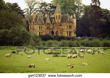 Front view of Ettington Park & Hotel amidst greenery, Stratford, England View Large Photo Image Stock Photo - Front view of Ettington Park & Hotel amidst greenery, Stratford, England. Fotosearch