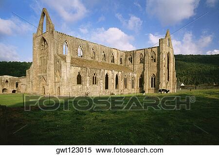 Side view of TinTern Abbey in Wales View Large Photo Image Stock Photography - Side view of TinTern Abbey in Wales. Fotosearch