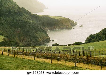 Stock Image - View of a fence leading down the Cornish Coast, England. Fotosearch