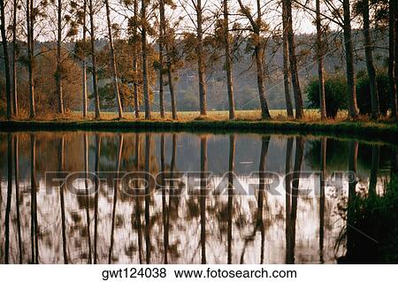 Reflection of multiple trees in Bungundy Canal Lake, France View Large Photo Image Stock Photo - Reflection of multiple trees in Bungundy Canal Lake, France. Fotosearch