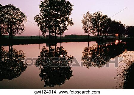 Silhouetted trees being reflected in the Bungundy Canal, France View Large Photo Image Picture - Silhouetted trees being reflected in the Bungundy Canal, France. Fotosearch