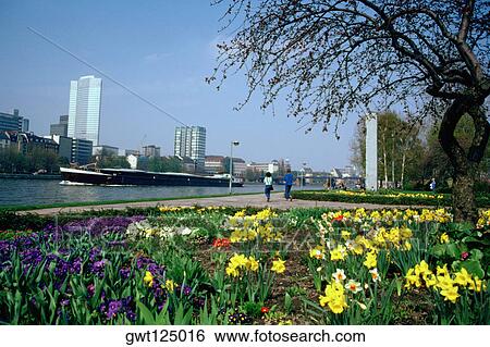 Flowers in a garden, GMW Frankfurt, Germany View Large Photo Image Stock Photograph - Flowers in a garden, GMW Frankfurt, Germany. Fotosearch