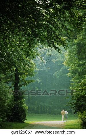 Rear view of two people walking in a park, Munich, Germany View Large Photo Image Stock Photo - Rear view of two people walking in a park, Munich, Germany. Fotosearch