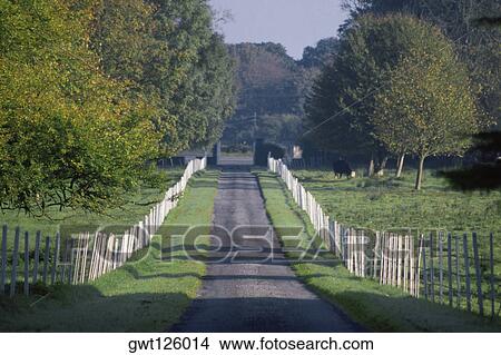Fence on both sides of a road, Carnally House, Clare Castle, County Clare, Republic of Ireland View Large Photo Image Picture - Fence on both sides of a road, Carnally House, Clare Castle, County Clare, Republic of Ireland. Fotosearch